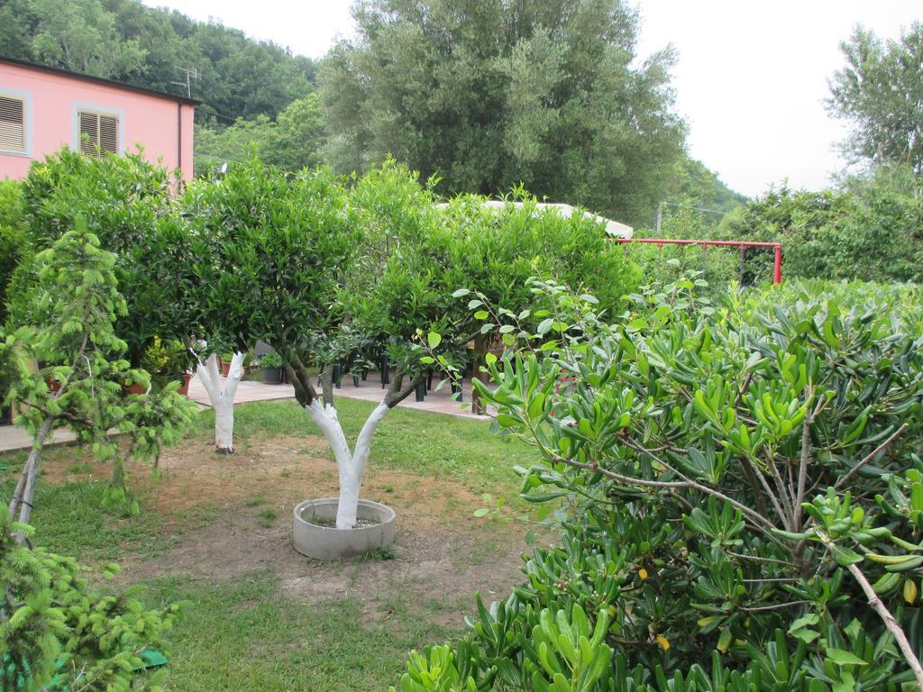 Palinuro Casa Vacanze "Donna Antonia" Zewnętrze zdjęcie